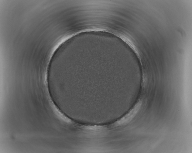 X0000114160797200910221607