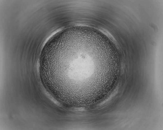 X0000114160798200910221607