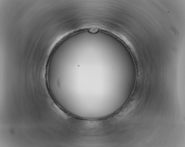 X0000114160799200910221607