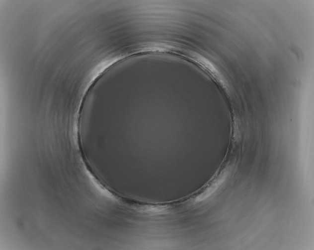 X0000114160802200910221607