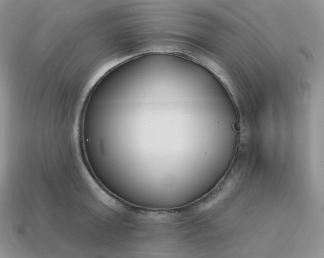 X0000114160803200910221607