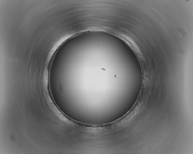 X0000114160804200910221607