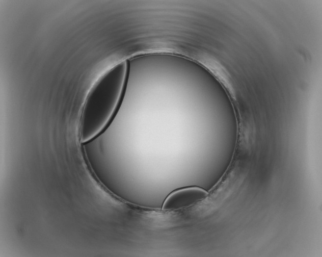 X0000114160805200910221607