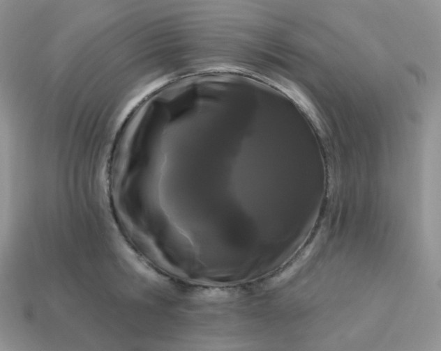 X0000114160806200910221607