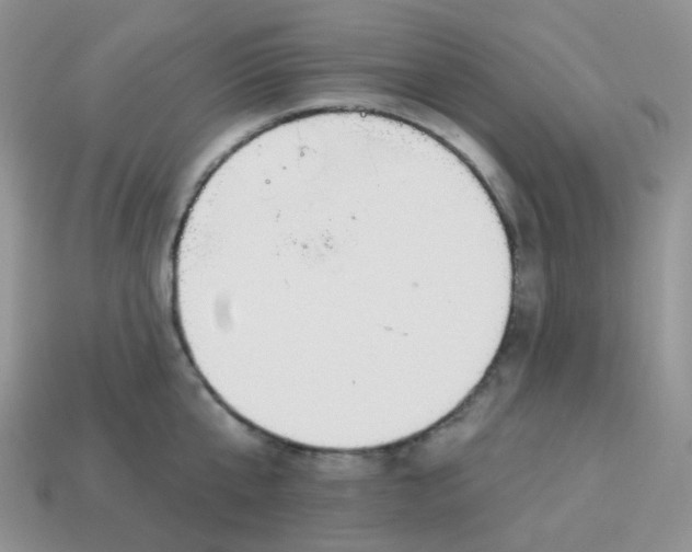 X0000114160807200910221607