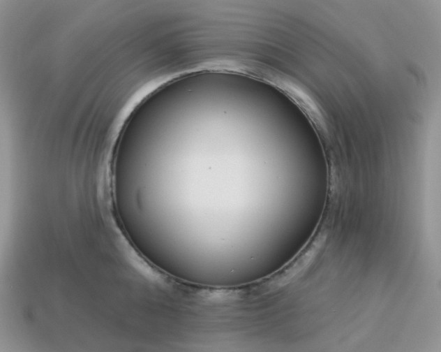 X0000114160808200910221607