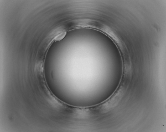 X0000114160809200910221607