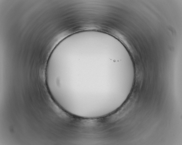 X0000114160810200910221607