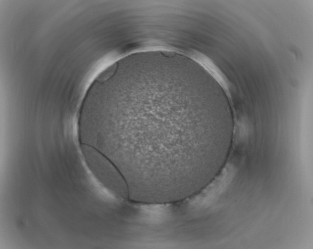 X0000114160813200910221607