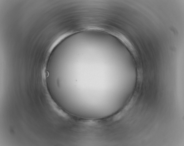 X0000114160814200910221607