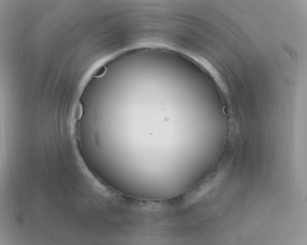 X0000114160815200910221607