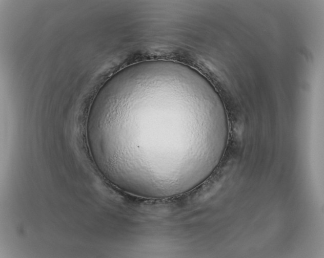 X0000114160817200910221606