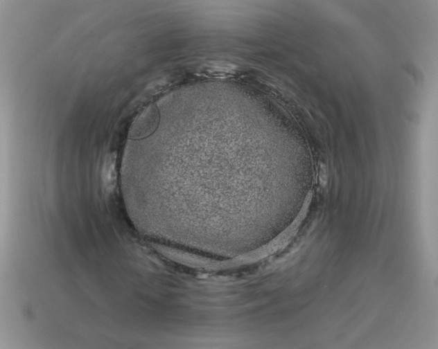 X0000114160818200910221606