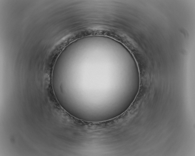 X0000114160821200910221606