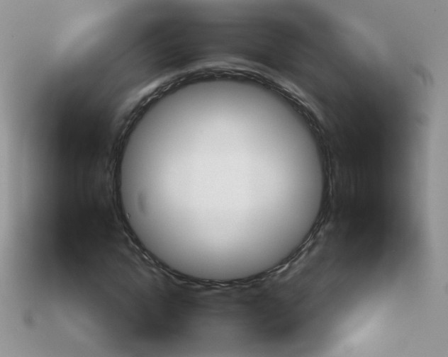 X0000114160822200910221606