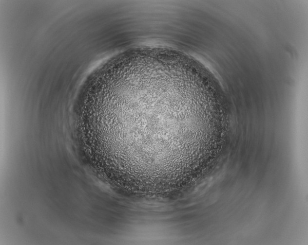 X0000114160823200910221606