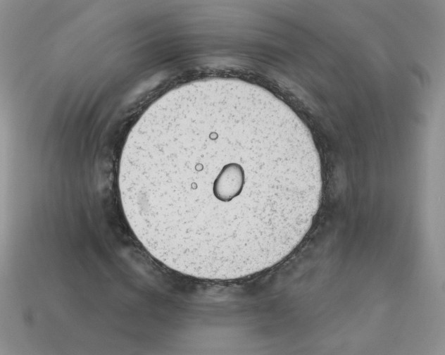 X0000114160824200910221606