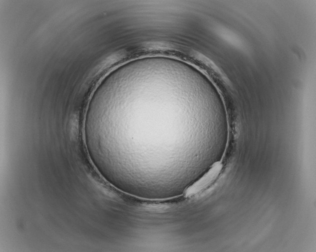 X0000114160825200910221606