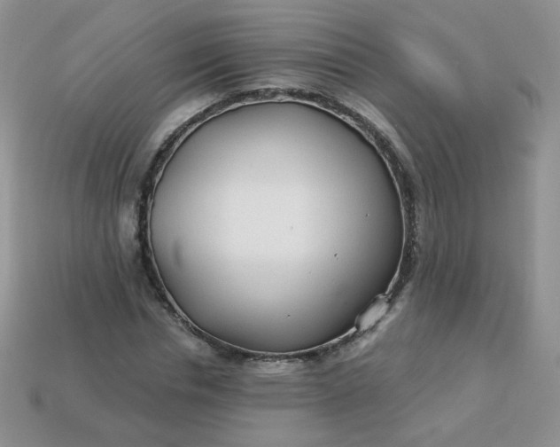 X0000114160826200910221606