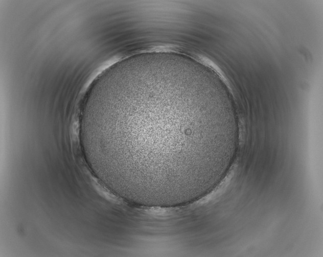 X0000114160827200910221606