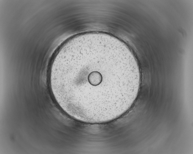 X0000114160828200910221606