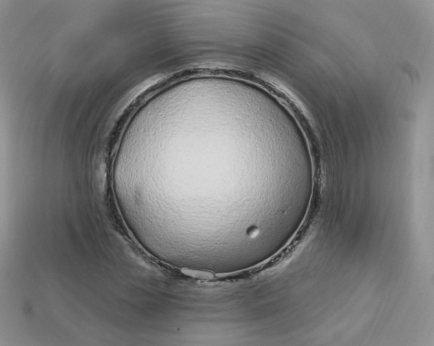 X0000114160829200910221606