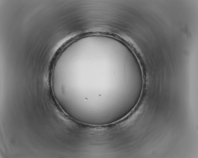 X0000114160830200910221606