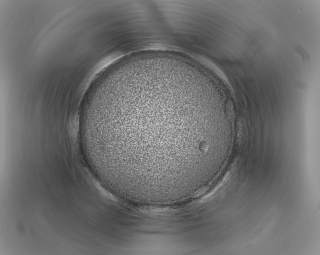 X0000114160831200910221606