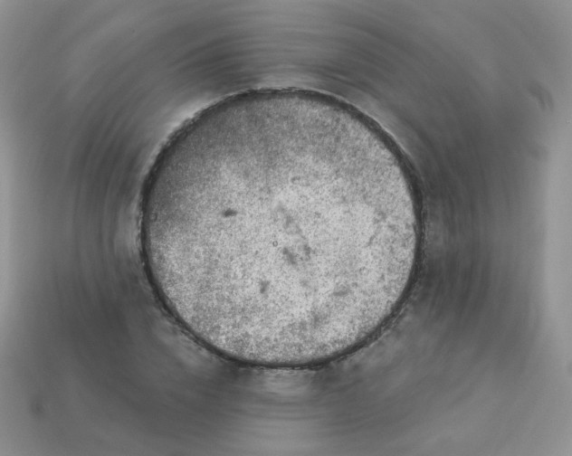 X0000114160832200910221606