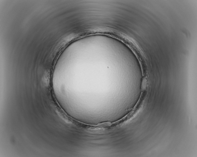 X0000114160833200910221606