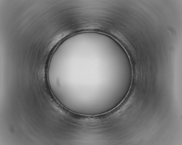 X0000114160834200910221606