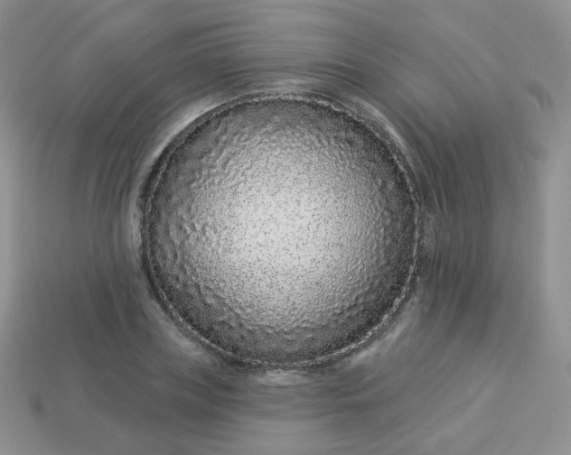 X0000114160835200910221606