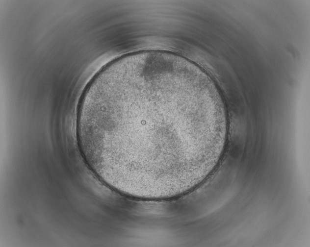 X0000114160836200910221606