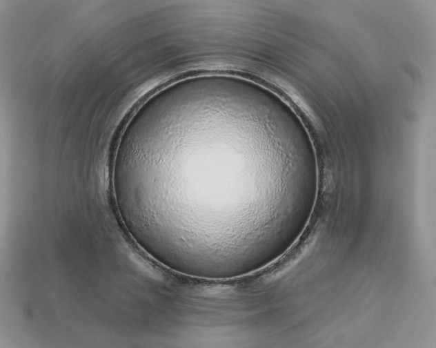 X0000114160837200910221606