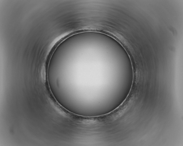 X0000114160838200910221606