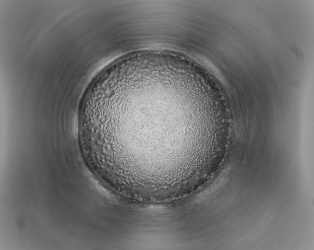 X0000114160839200910221606