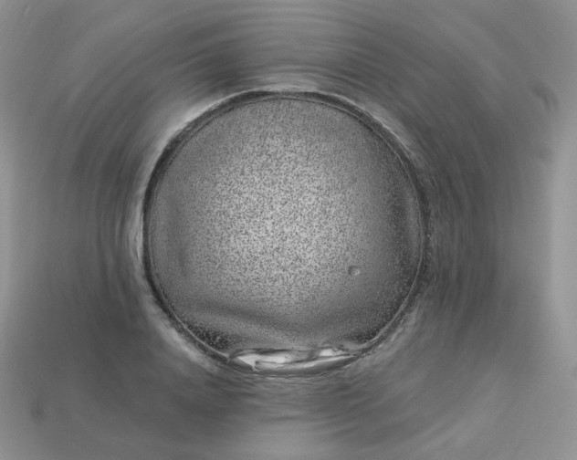 X0000114160840200910221606