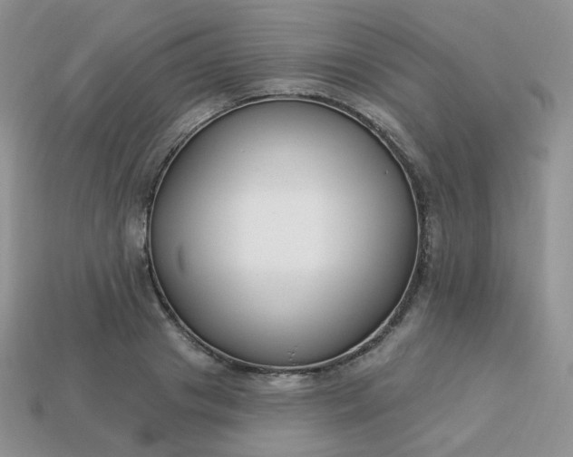 X0000114160841200910221606