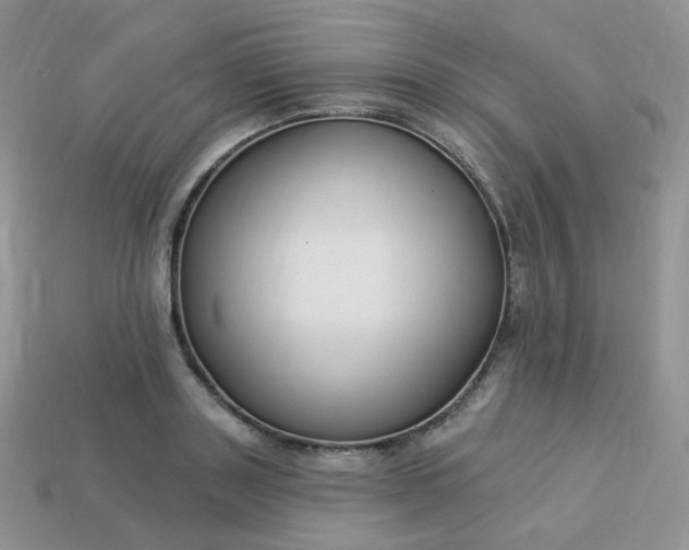 X0000114160843200910221606