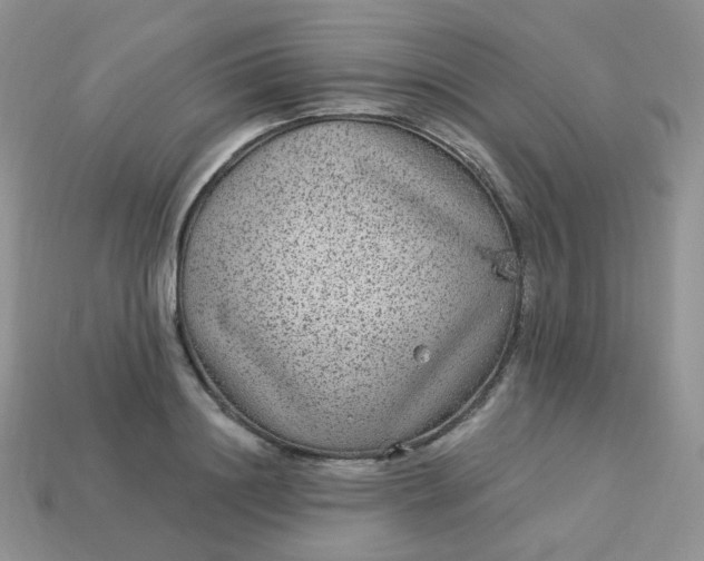 X0000114160844200910221606