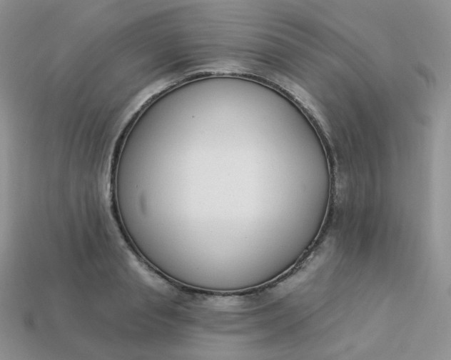 X0000114160845200910221606