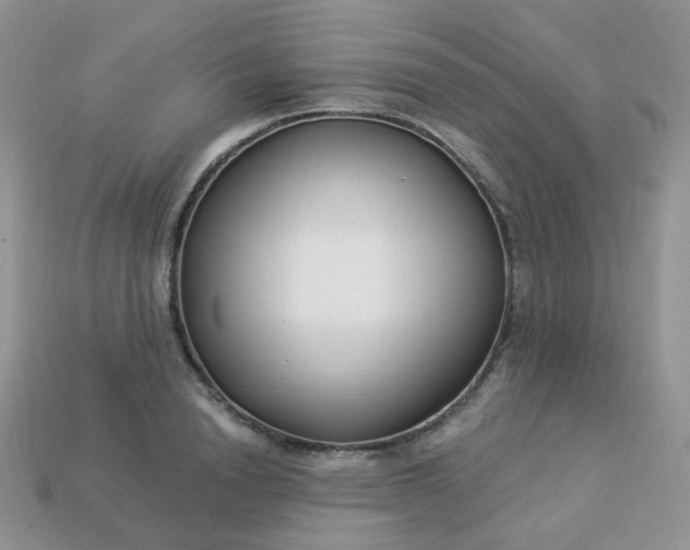 X0000114160846200910221606