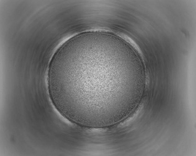 X0000114160847200910221606