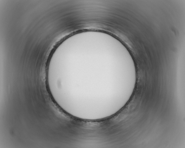 X0000114160848200910221606