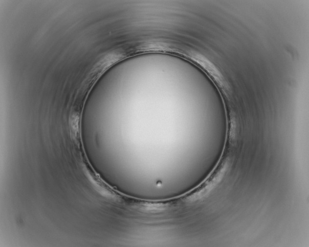 X0000114160849200910221606