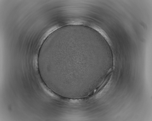 X0000114160850200910221606