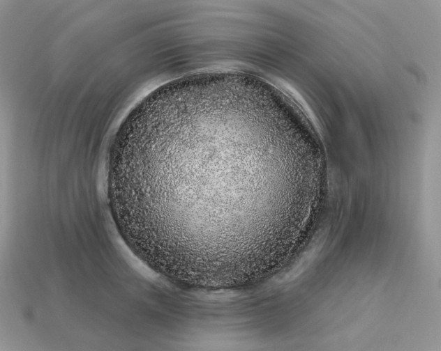 X0000114160851200910221606