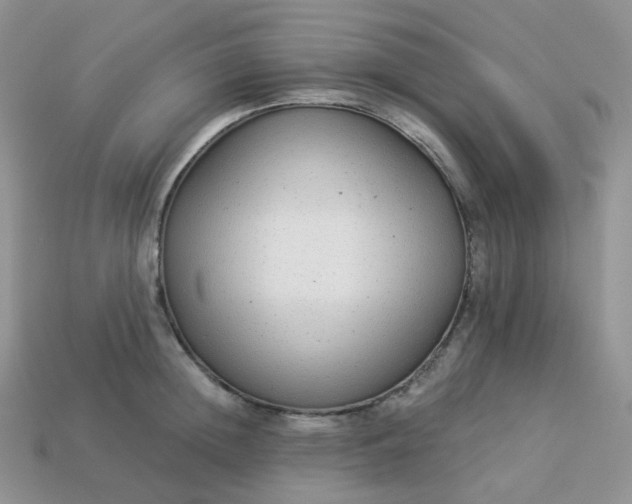 X0000114160852200910221606