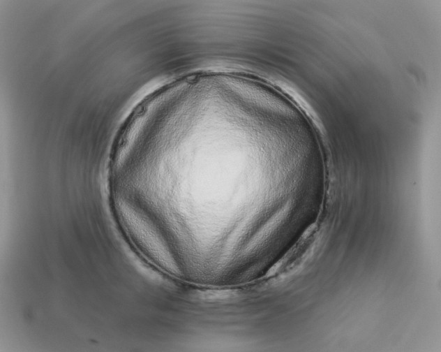 X0000114160853200910221606