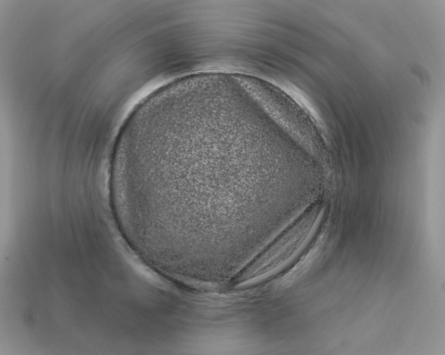 X0000114160854200910221606